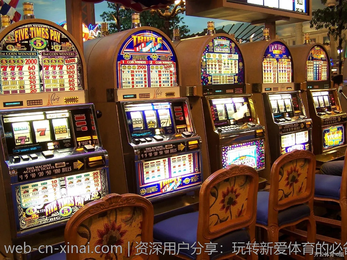 资深用户分享:玩转新爱体育的必备技巧