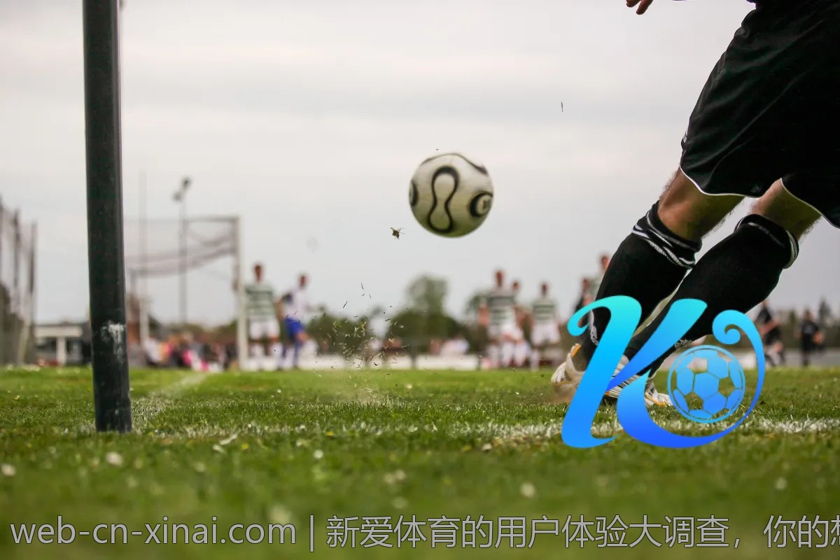新爱体育的用户体验大调查，你的想法是什么？